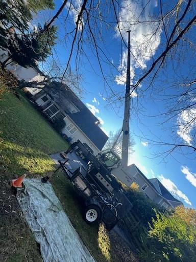 Tree Trimming for Smith Tree Experts in Palmyra, VA