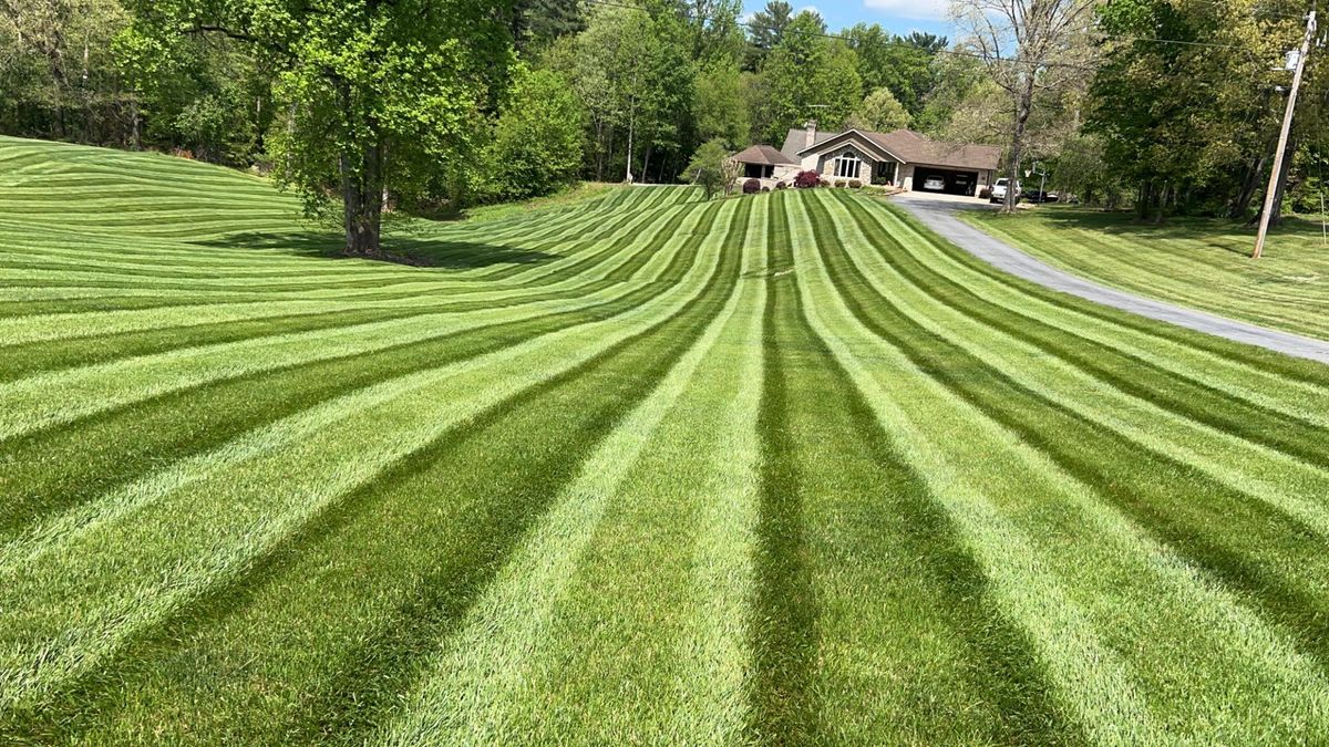 Seasonal Lawn Maintenance & Treatment for Cook's Lawn & Landscaping in Taylorsville, NC