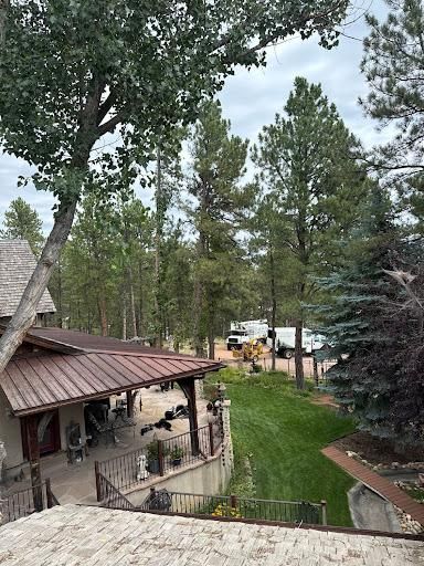 Tree Trimming for Clean Cut Tree Service in Gillette, WY