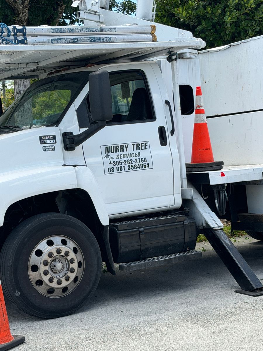 Tree Trimming for Nurry Tree Services in Miami, FL