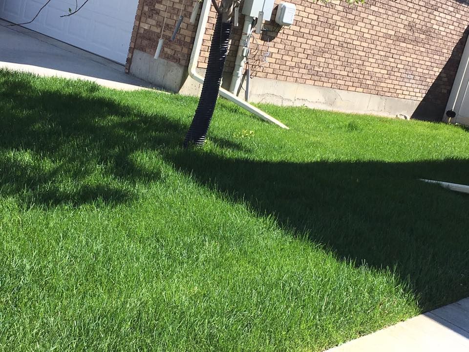 Lawn Aeration for A+ Lawn and Trees LLC in Cody, WY