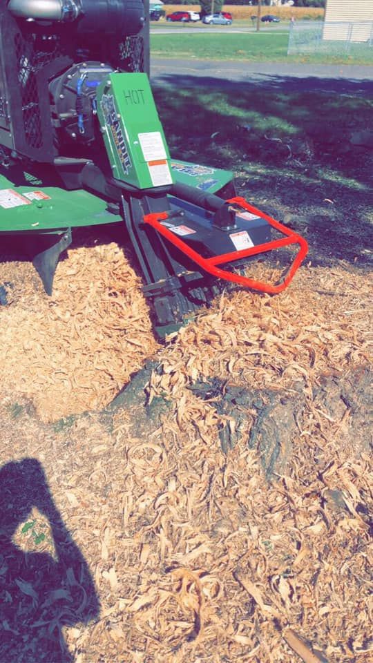 Stump Removal for Etherton’s Tree Service in Quinton, NJ