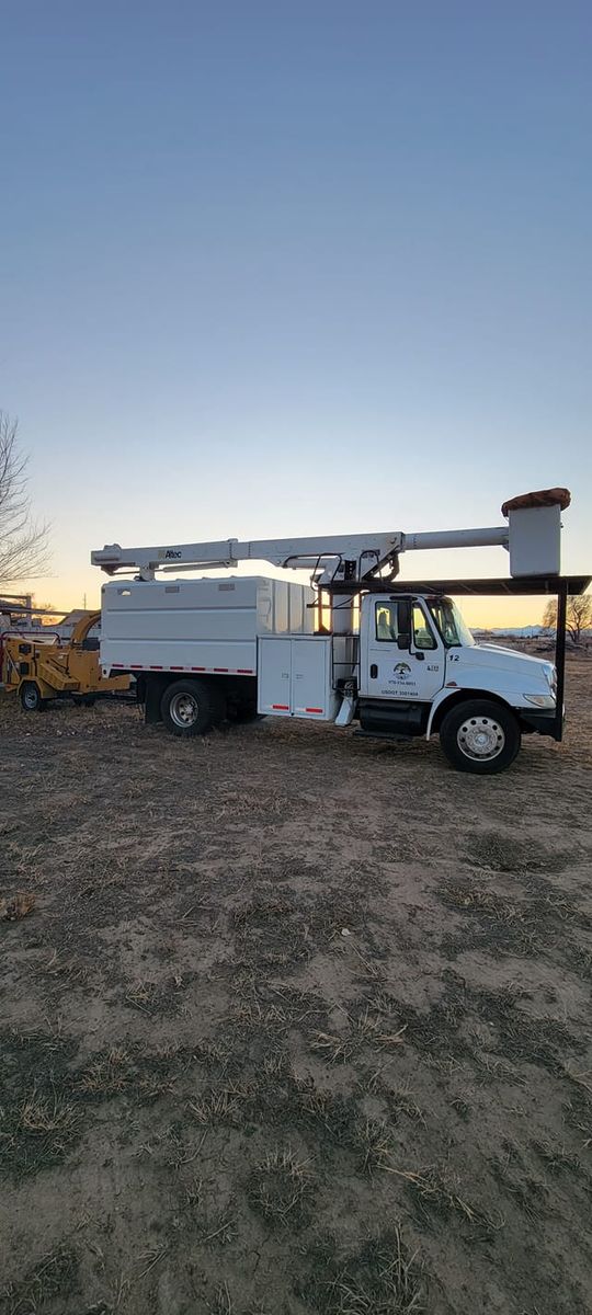 Tree Removal for Jv Tree Service, LLC in Greeley,  CO