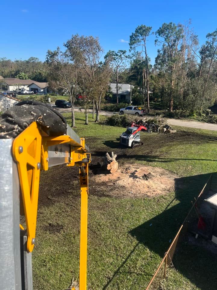 Land Clearing for McGraw’s Lawn and Tree Service in DeLand, FL