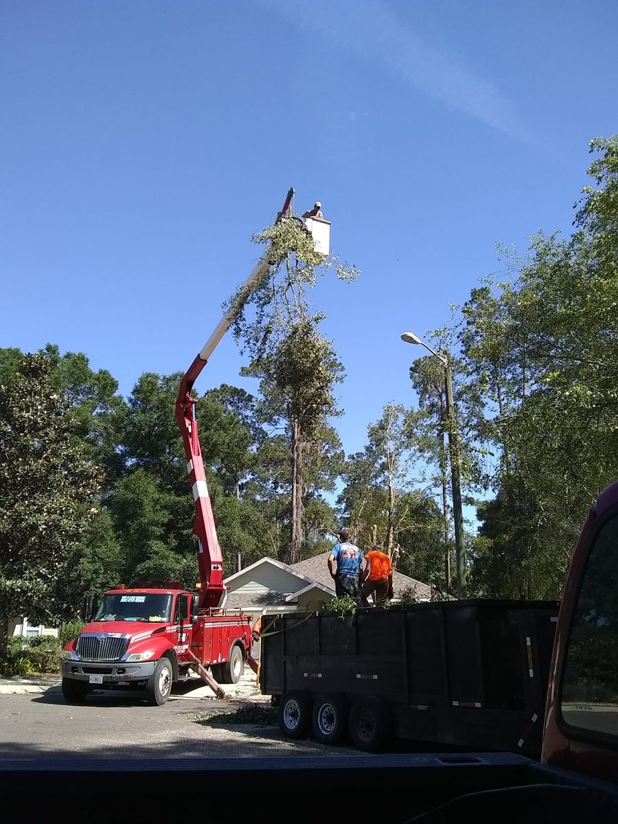 Tree Trimming for Asbell's Tree & Land Services in Gilchrist County, FL
