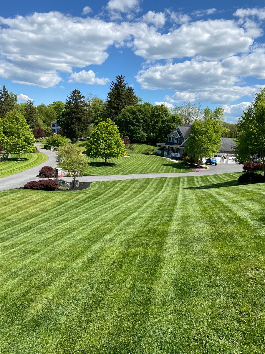 Seeding for Backyard Acres Lawncare LLC in Chambersburg, PA