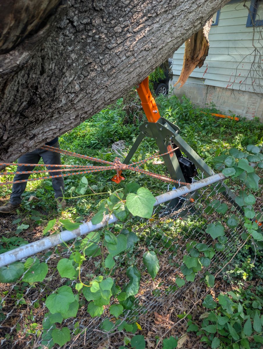 Tree Removal for Mitchell Tree Company in Lathrop, MO