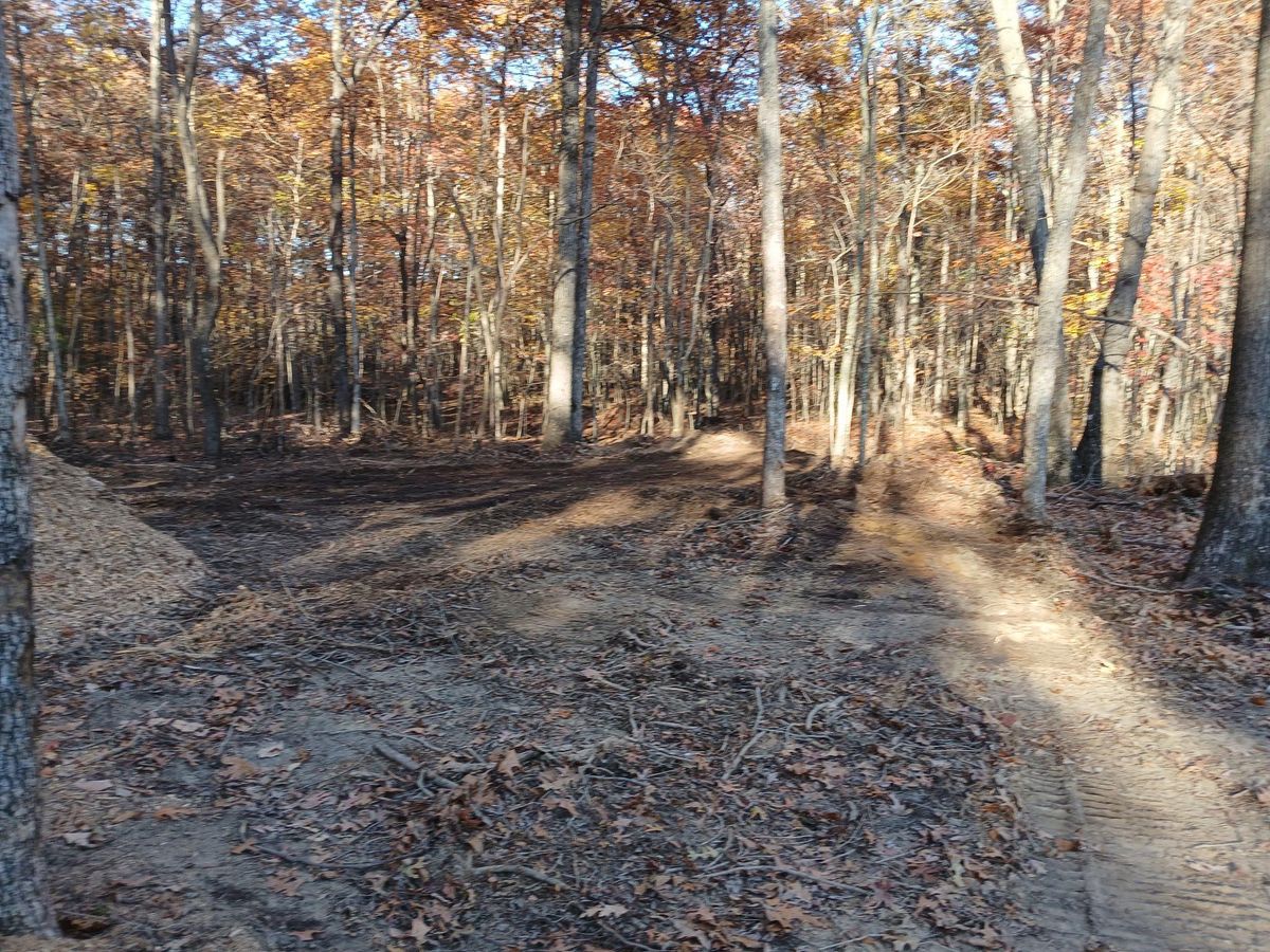 Stump Removal for McBee’s Tree Service in Sewanee, TN