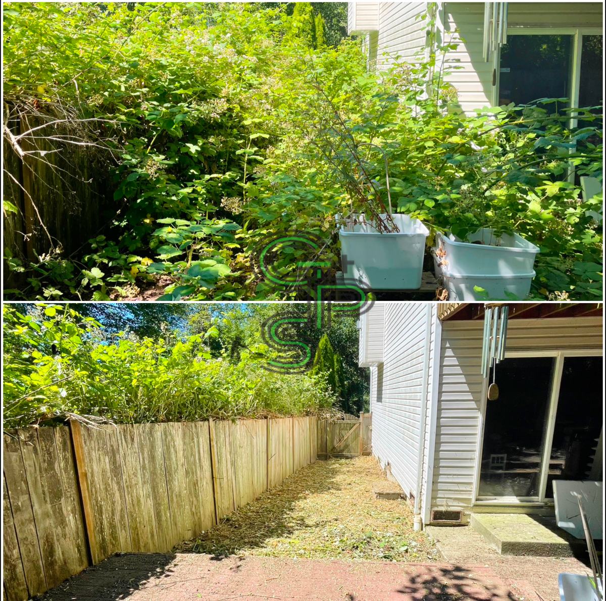 Brush Clearing - Bramble Clearing - Blackberry Clearing for Golovin Property Services LLC in Marysville, WA