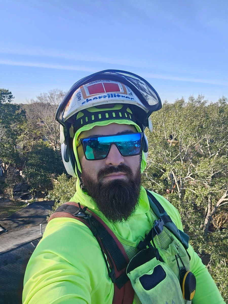 Tree Removal for Servin's Tree Care  in Houston, TX