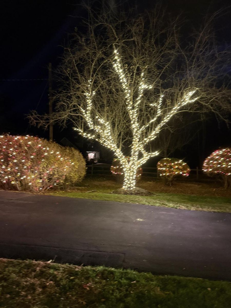 Holiday & Event Lighting for Unique Outdoor Lighting in Short Hills, NJ