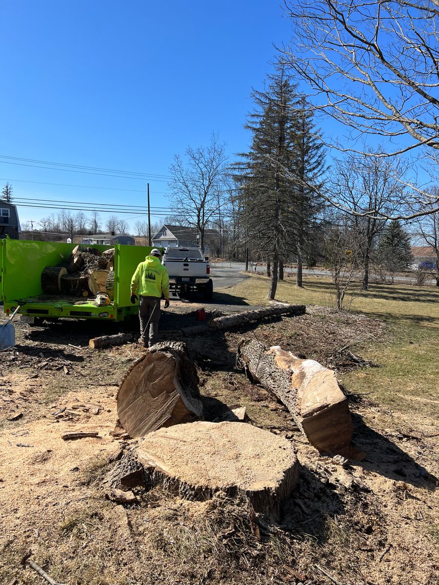 Tree Removal for Sterlings Tree Removal in Cobleskill, New York
