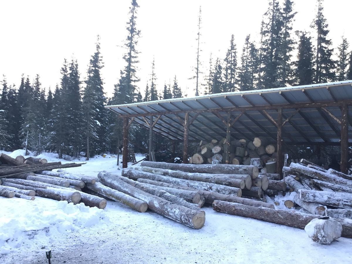 Tree Removal for Frontier Forestry Management in Soldotna, AK