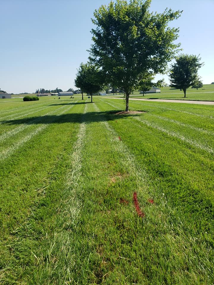 Other Services for Jones Locating Service in Bluff City, TN