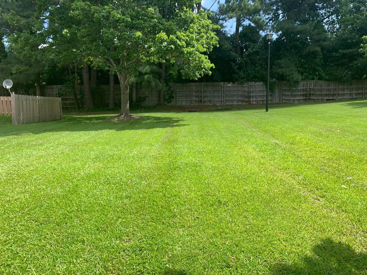 Lawn Transformation for Jt's Landscaping in Webb, AL