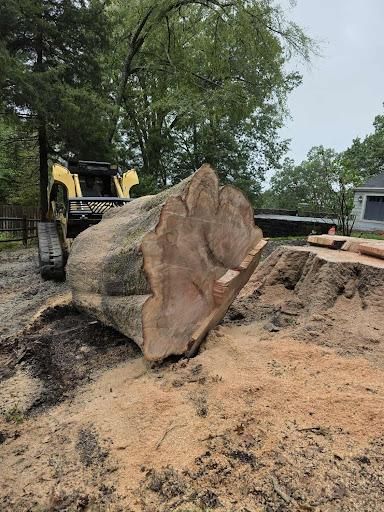 Tree Removal for Smith Tree Experts in Palmyra, VA