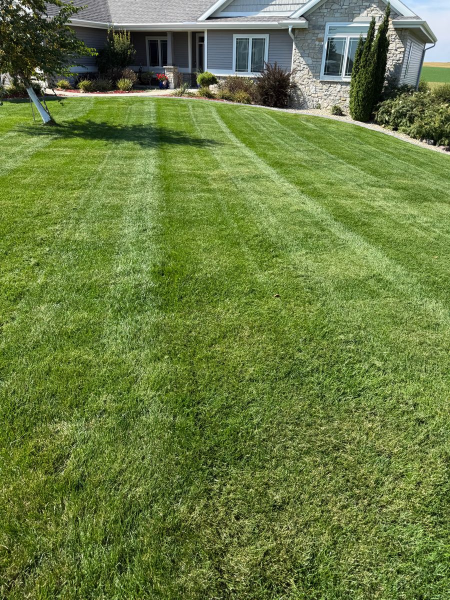 Spring Clean Up for Perfect Lawn Solutions LLC in Marshall, WI