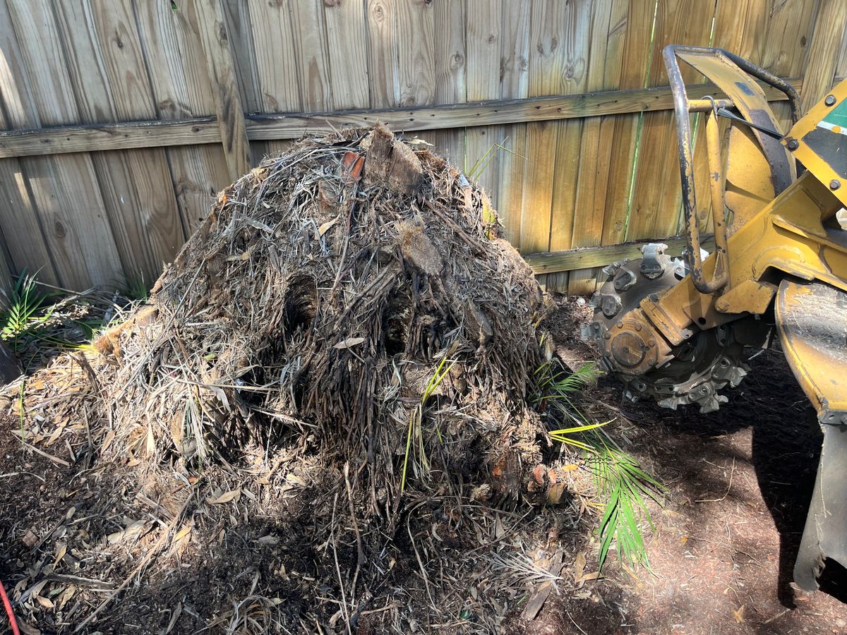 Stump Grinding for Busy Beaver Stump Removal, Inc in Clearwater, FL