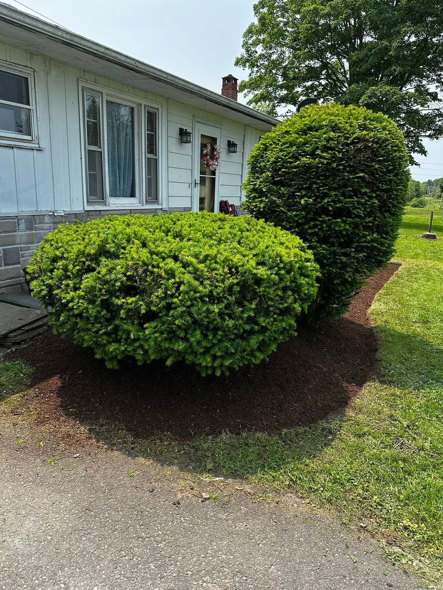 Shrub Trimming for Lopez Landscaping and Hardscapes in Scranton, PA