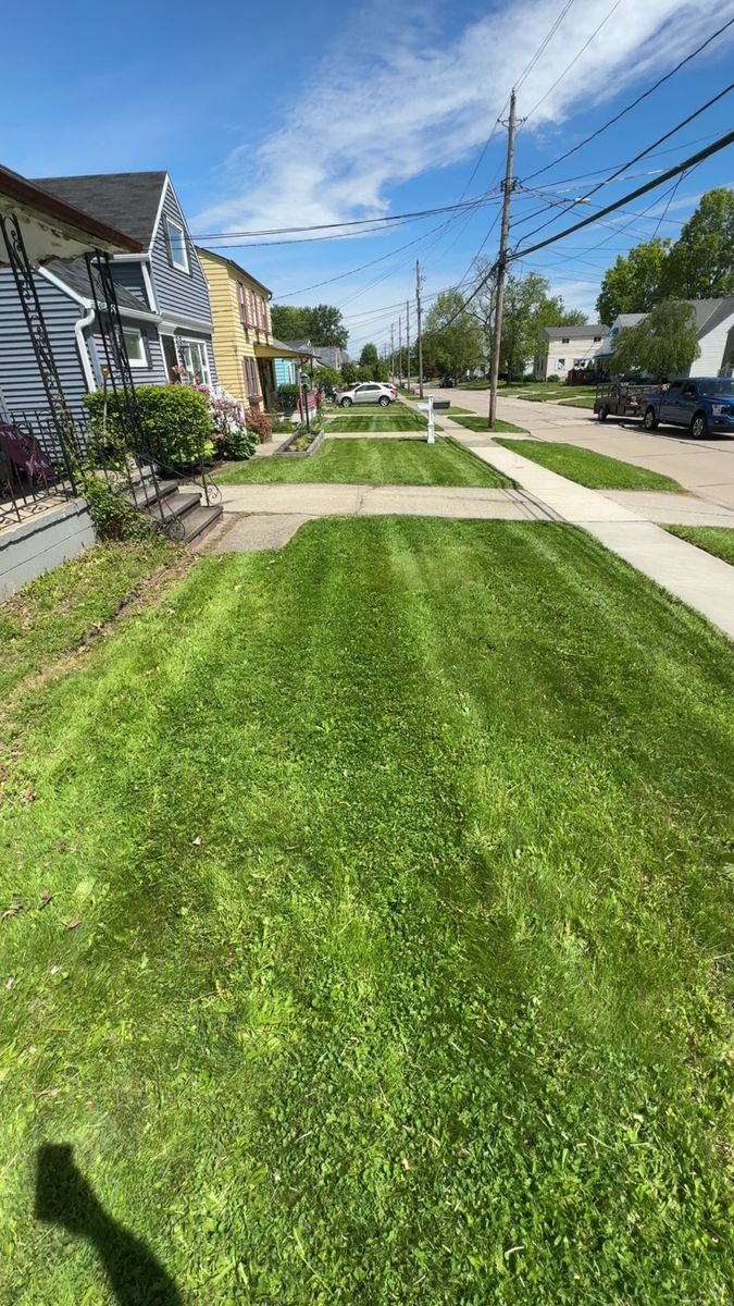 Mowing for Yard Theory in Willowick, OH