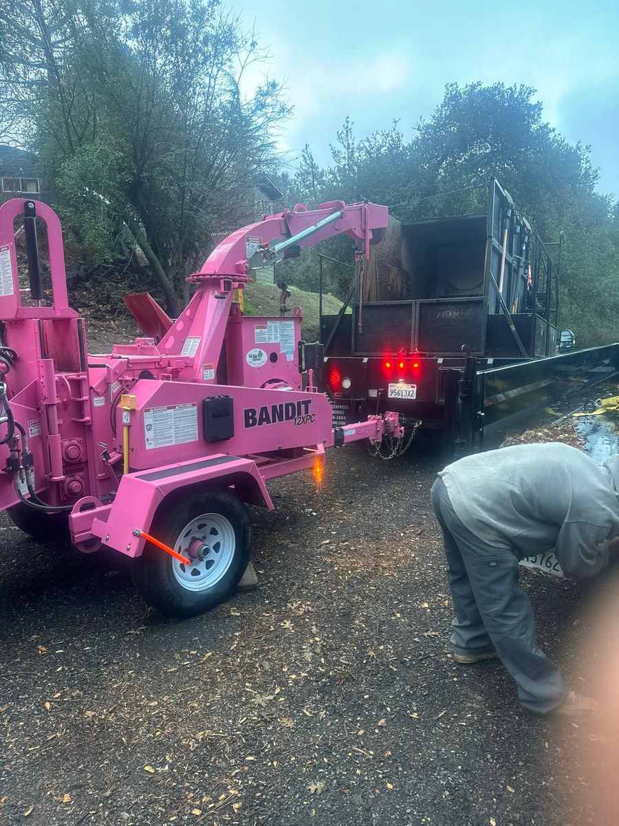 Tree Services for The Tree Fairy in Julian, CA