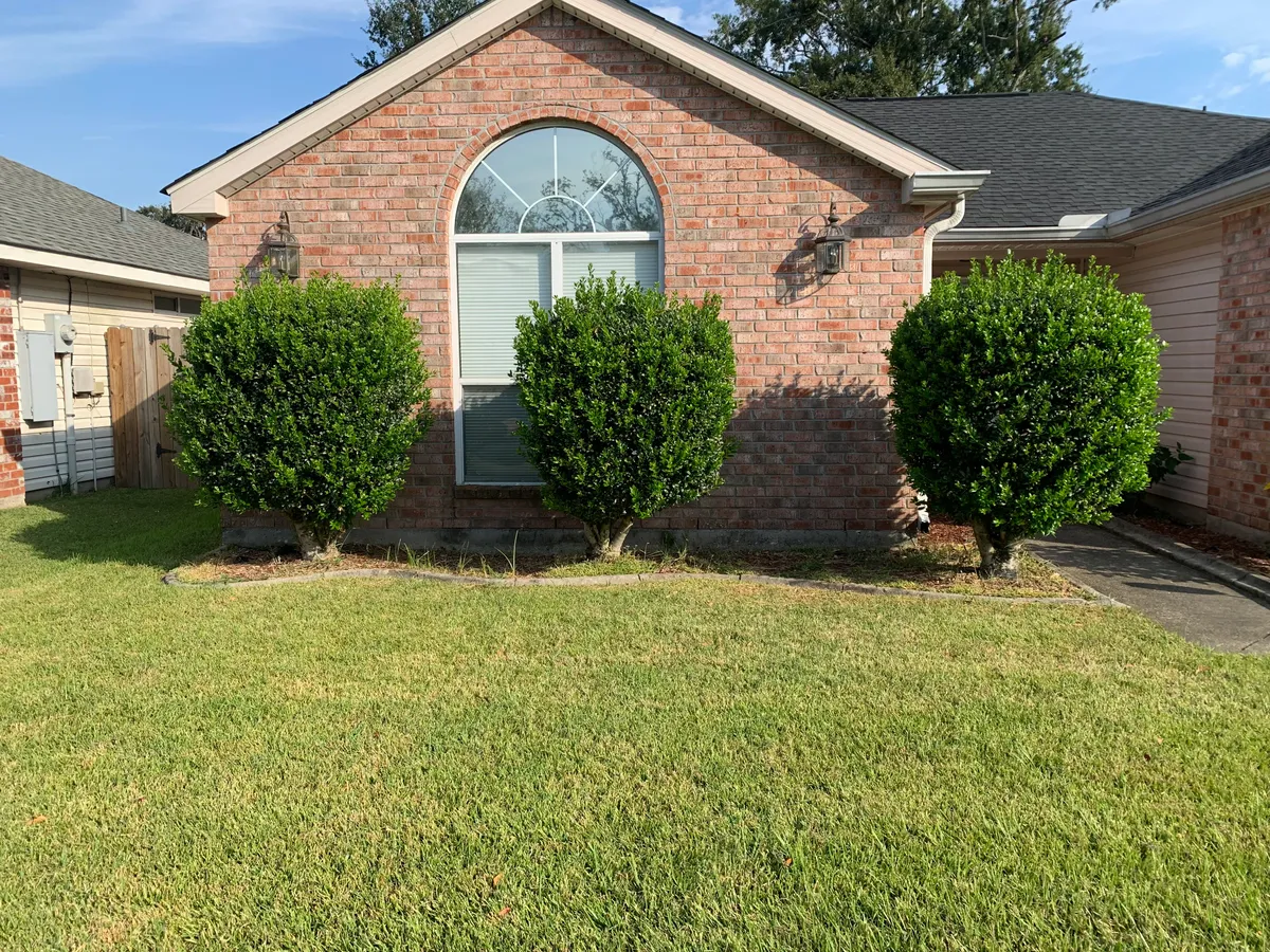 Shrub Trimming for Jay C’s Touch Landscaping & Pressure Washing Services LLC in Marrero, LA