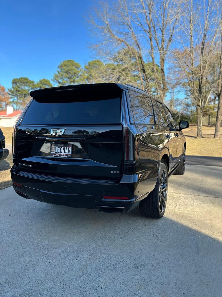 Exterior Detailing for Hollywood Detail in Northport , AL