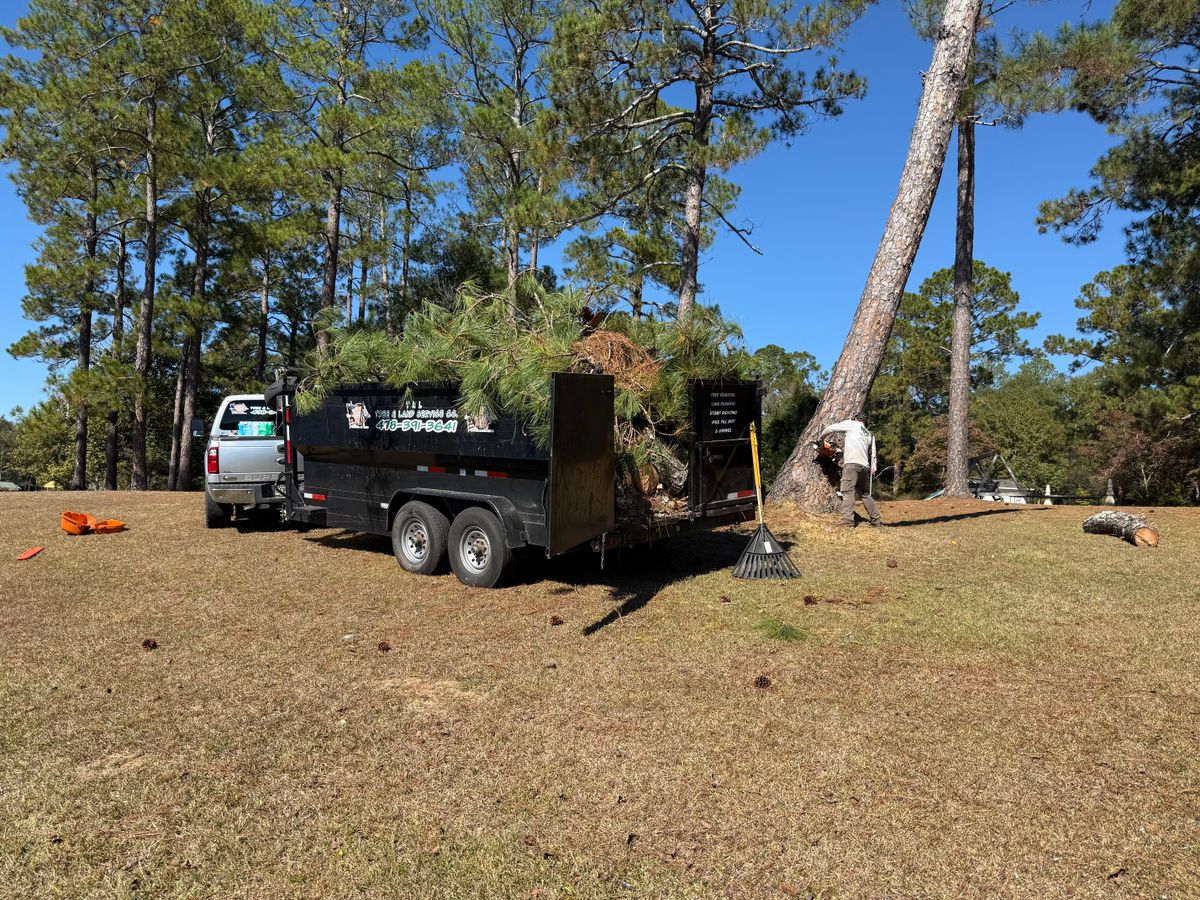 Tree Trimming for T N L - Tree and Land Service in Reynolds, GA