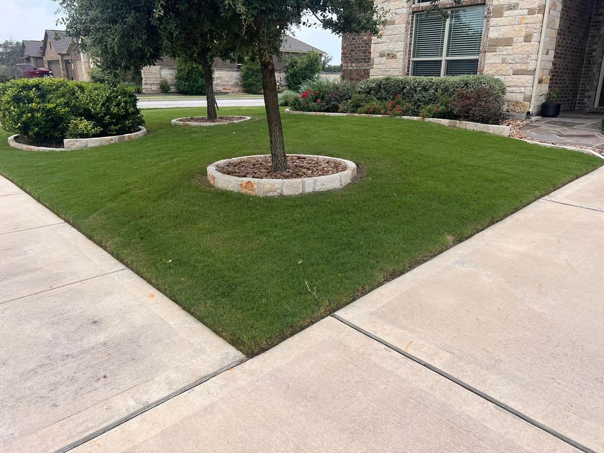 Shrub Trimming for Rustic Roots Landscaping in Austin, TX