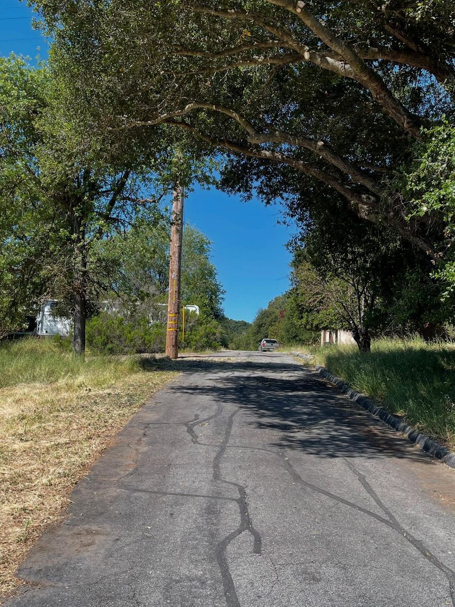 Tree Trimming for A1 Junk & Tree Solutions, LLC in Paso Robles, CA