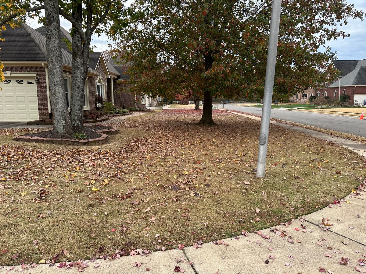 Leaf clean up for Vickers Lawns in Ardmore, Al