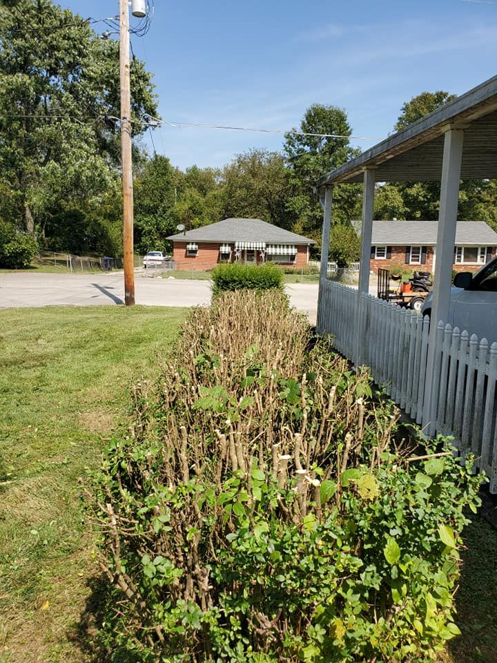 Tree Work for KK&G Lawncare Services LLC in  Frankfort, KY