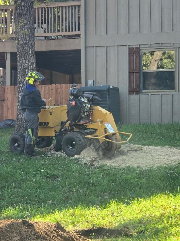 Stump Removal for Oklahoma Tree Guy in Bartlesville, OK