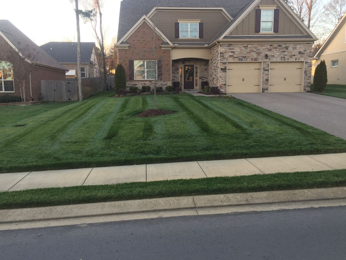 Shrub Trimming for Russell's Lawn Care Plus in Nashville, TN