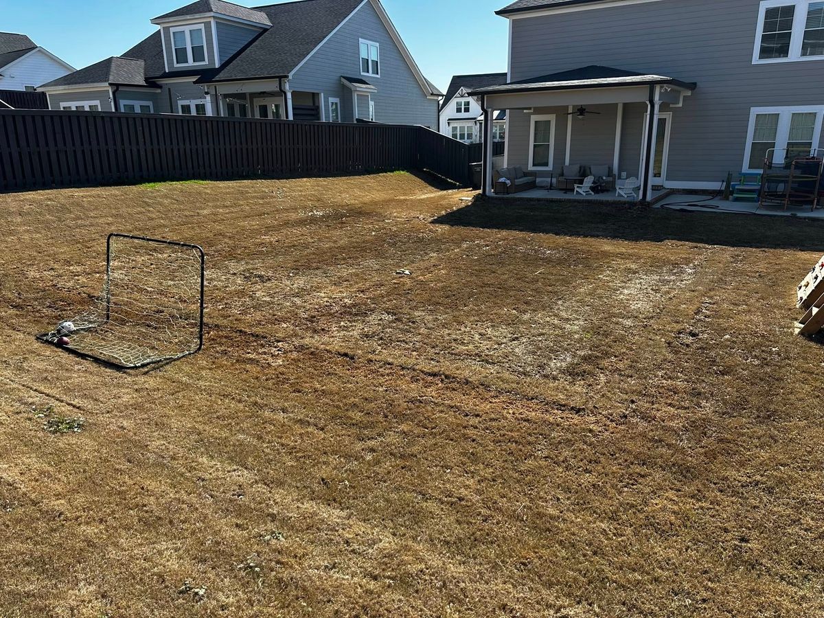 Landscaping for V&S Grading in Harlem, GA