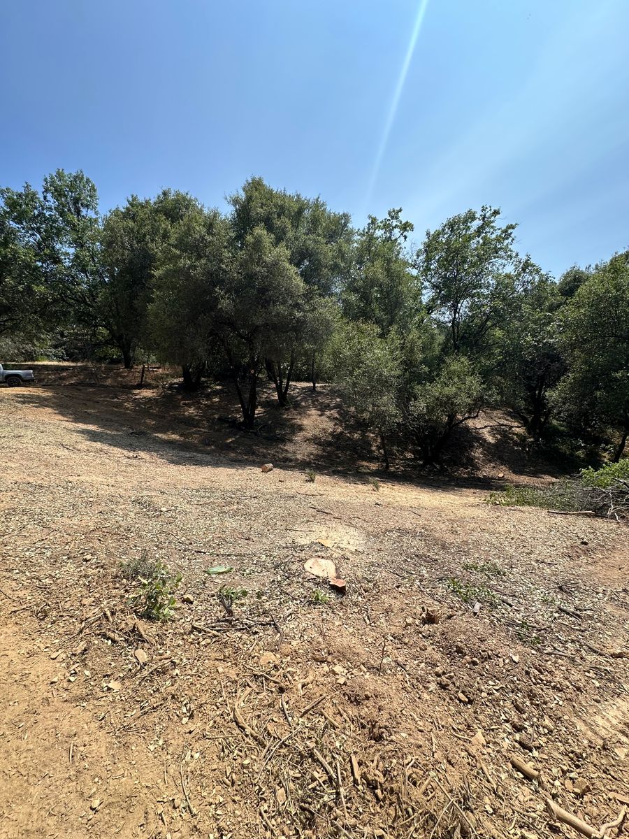 Defensible Space for Tyco Forest Management in Placerville, CA