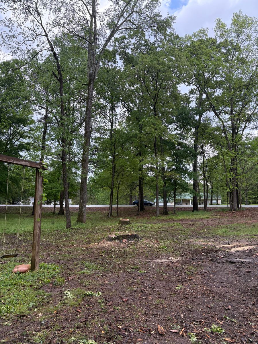 Stump Removal for T N L - Tree and Land Service in Reynolds, GA