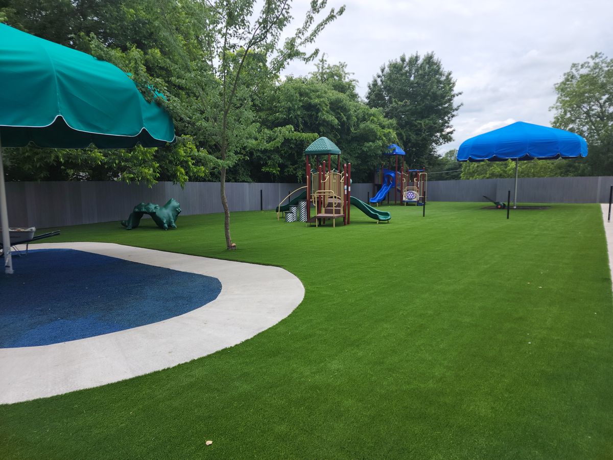 Artificial Turf For Pets for Elite Turfs in Concord, NC