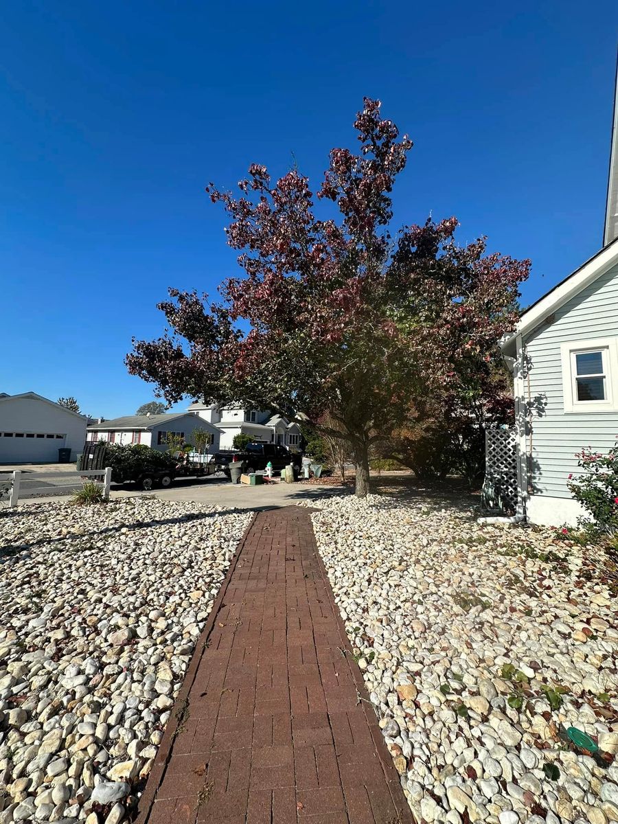 Fall Clean Up for Alex’s Grass Care in Salisbury, MD