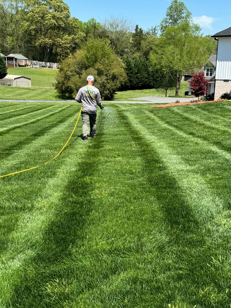 Fertilization & Weed, Insect and Diseases Control for Gallimore’s Lawn Care in Thomasville, NC