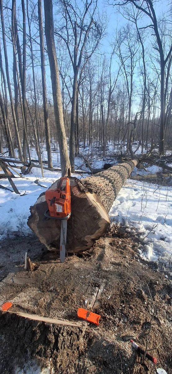 Timber Management for God's Country Timber Management in Hillsdale, MI