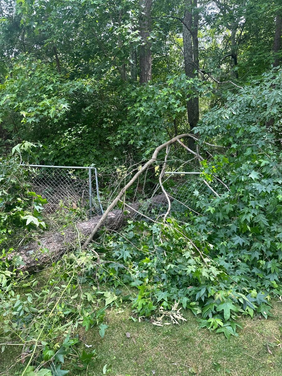 Emergency Tree Service for Bulldawg Disaster Response in Atlanta, GA