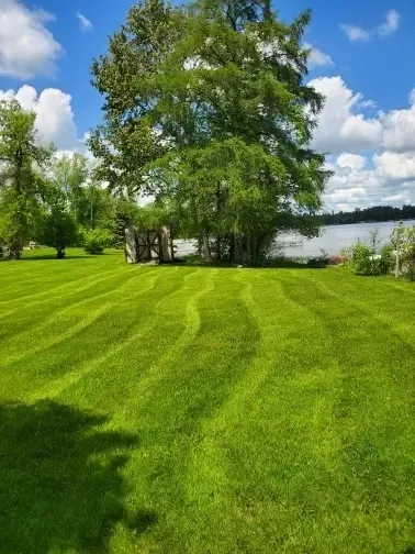 Lawn Maintenance for BRO Property Services in Bemidji, MN
