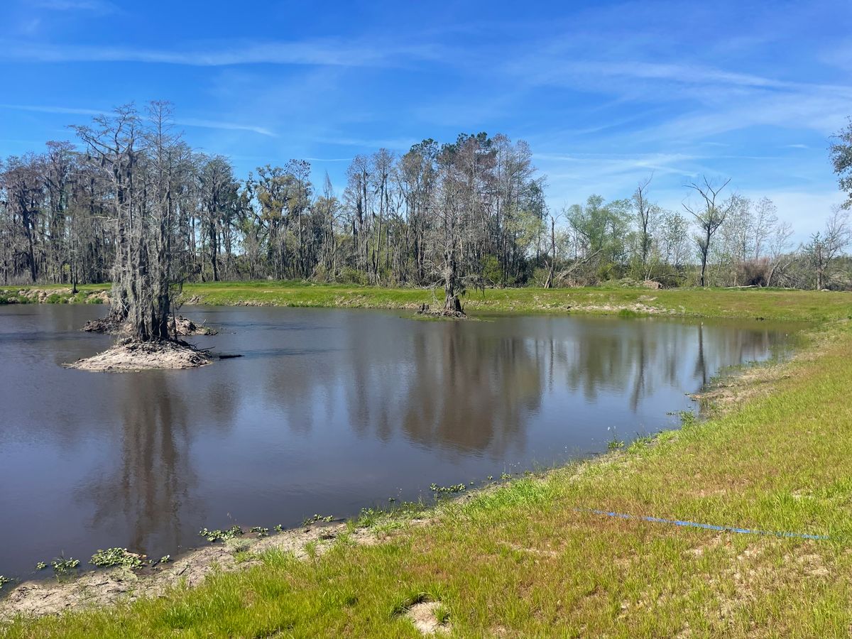Pond Construction for Ewc Land Clearing and more in Lake Park, GA
