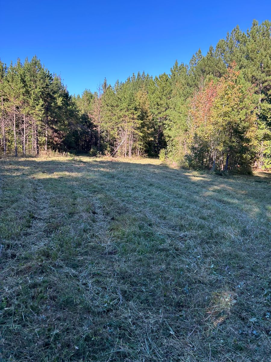 Bush Hog & Tree Work for Gallimore’s Lawn Care in Thomasville, NC