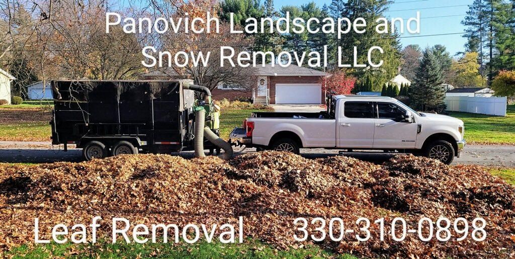 Fall Clean Up for Panovich Landscape & Snow Removal LLC in Akron, OH
