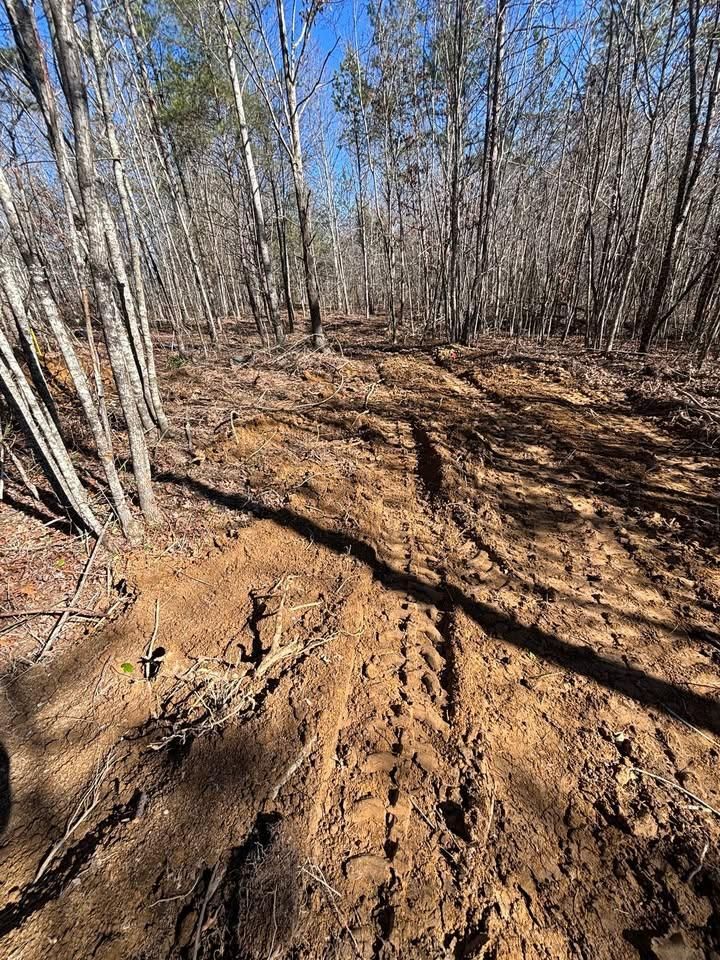Forestry Mulching for TD Dirtworks in Tracy City, TN