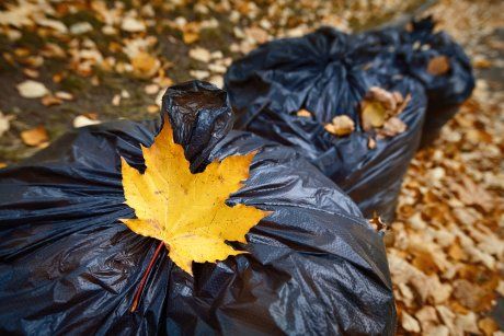 Leaf Clean Up for Phillips Lawn Services in Ravenna, MI