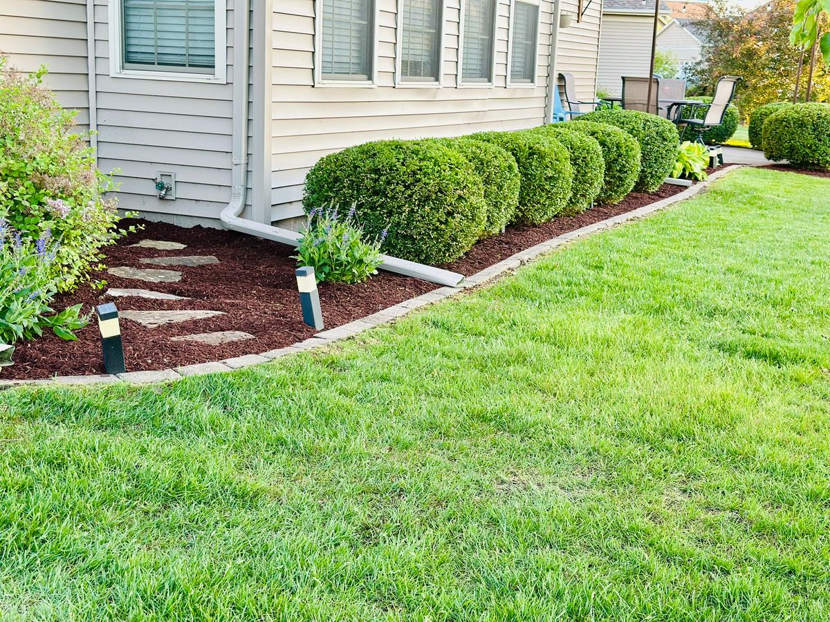 Shrub Trimming for Manny's Cleaning,Lawn Care & Snow Removal Services in Champaign, IL