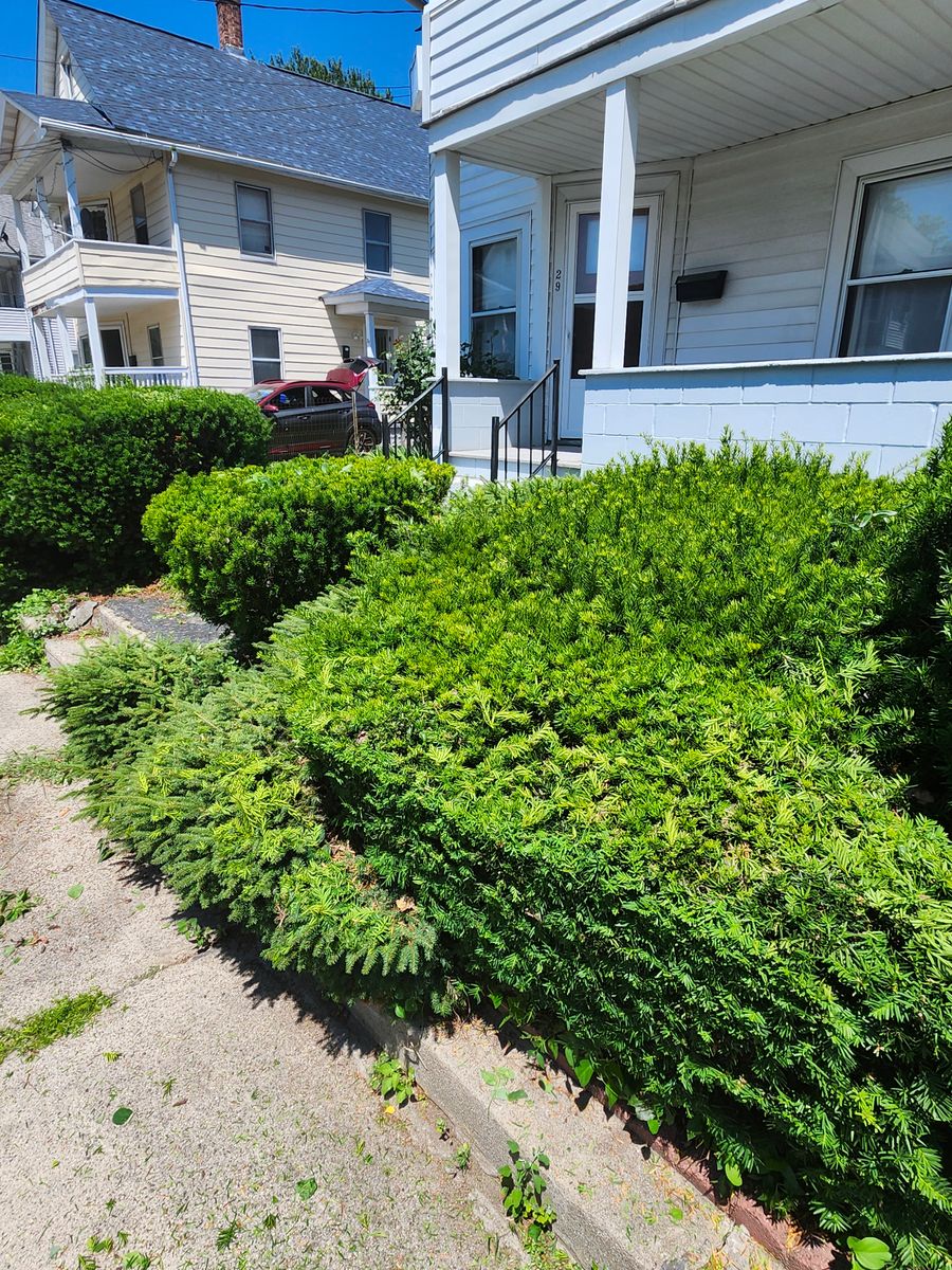 Landscape Installation for Landscape Innovations LLC in Torrington, CT